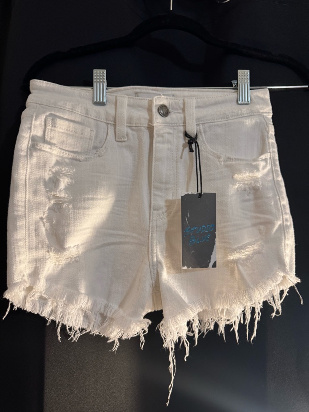 NWT- Studio Blue Shorts